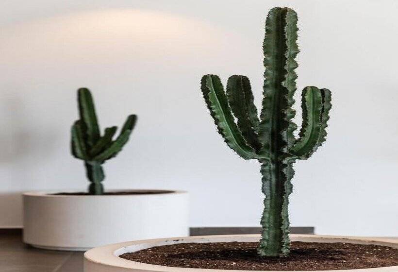 Ferrer Concord Hotel & Spa