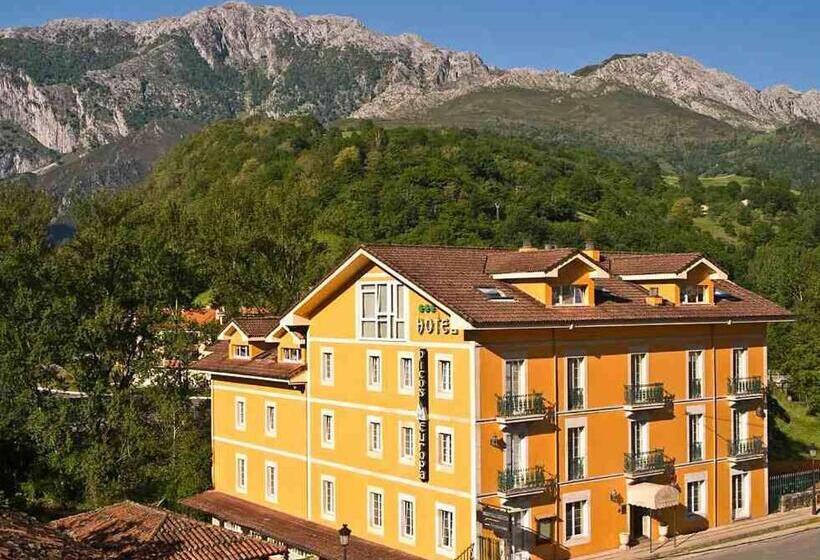 هتل Picos De Europa
