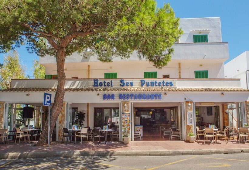 Fotos del hotel Ses Puntetes:  11