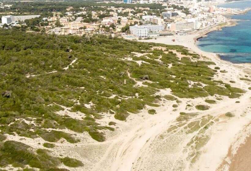 Fotos del hotel Son Bauló:  5