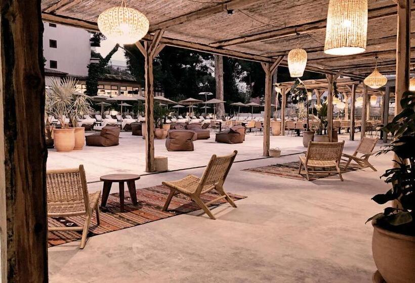 Fotos del hotel Cook S Club Palma Beach:  3