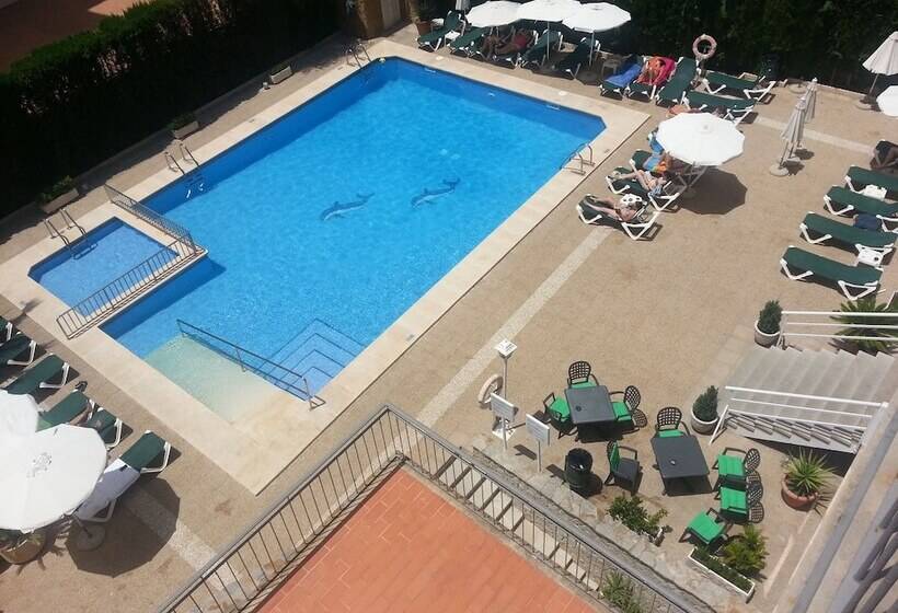 Fotos del hotel Don Miguel Playa:  20