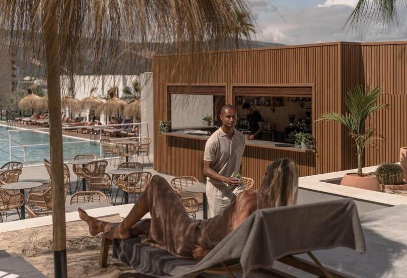 Hôtel Cook's Club Calviá Beach- Adults Only