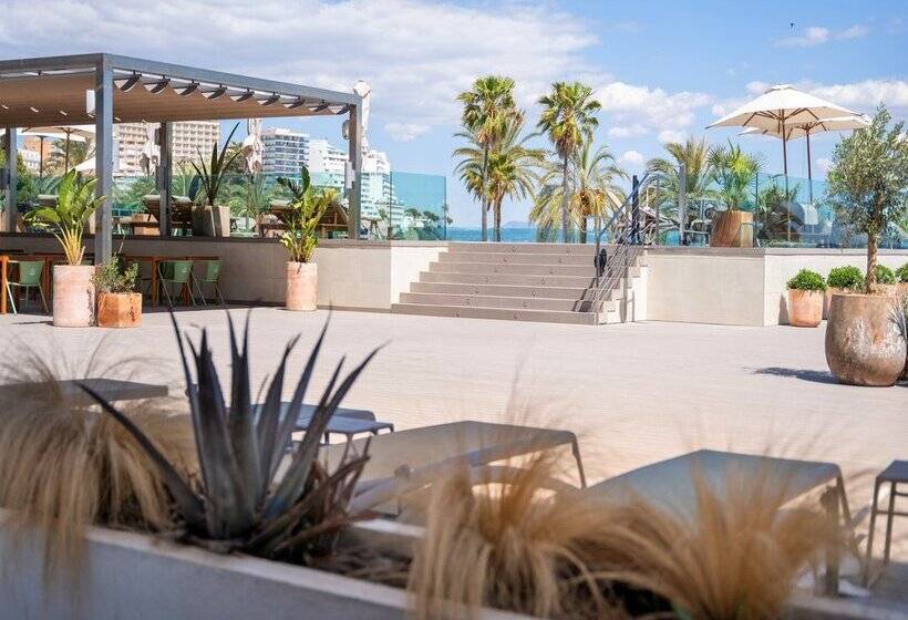 Fotos del hotel Sol Wave House All Suites:  54
