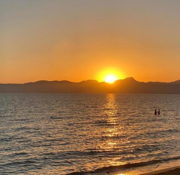 Fotos del hotel Marina Playa De Palma:  13