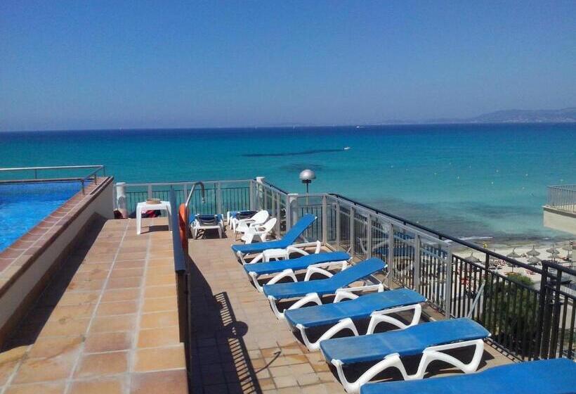 Fotos del hotel Marina Playa De Palma:  21