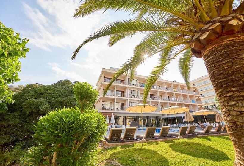 Fotos del hotel Nura Condor:  15