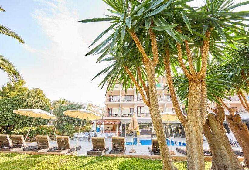 Fotos del hotel Nura Condor:  16