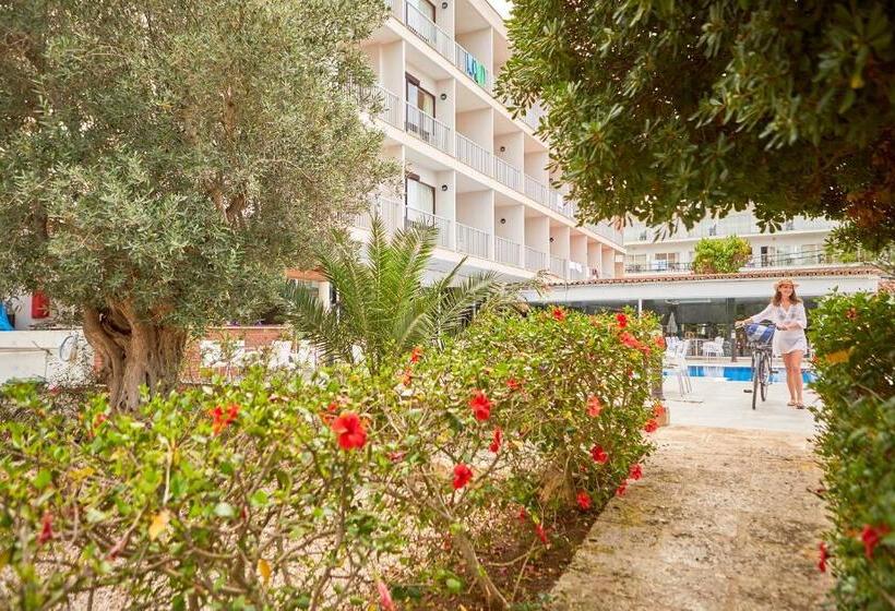 Fotos del hotel Nura Condor:  23