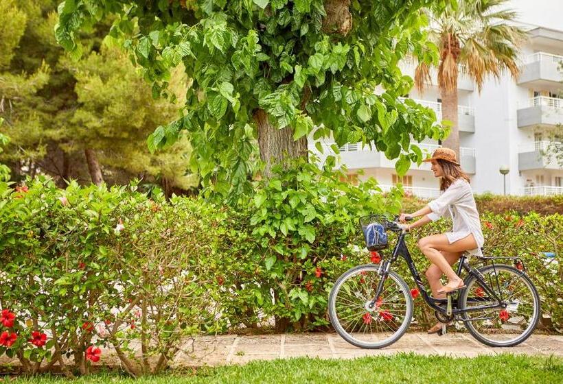 Fotos del hotel Nura Condor:  18