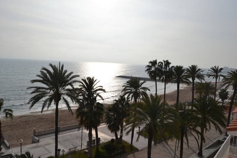Fotos del hotel Platjador:  14