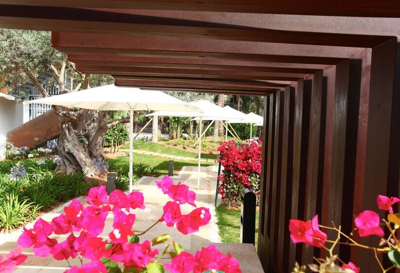 Fotos del hotel Pure Salt Garonda 4* Sup - Adults Only:  27