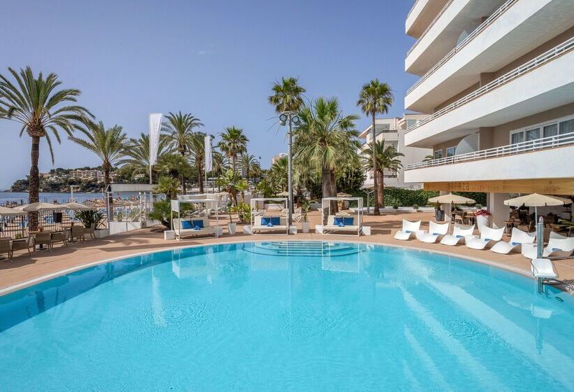 Fotos del hotel Sol House The Studio - Calviá Beach:  15
