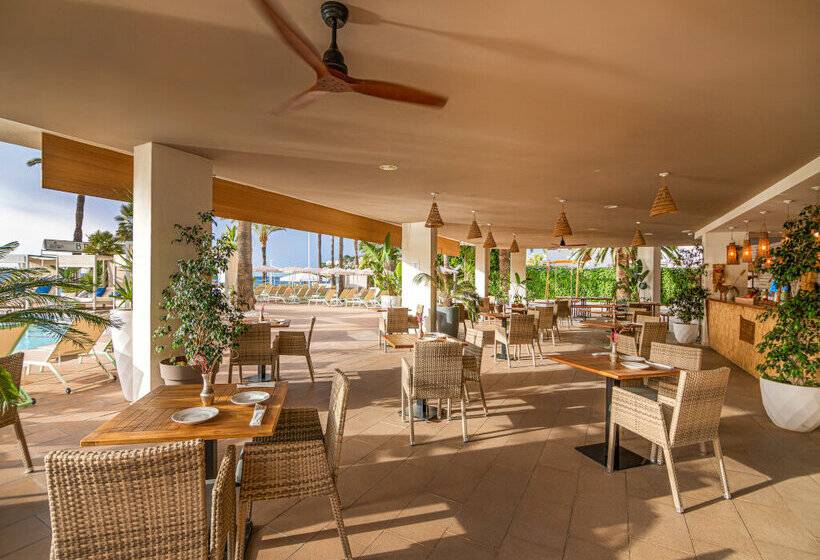 Fotos del hotel Sol House The Studio - Calviá Beach:  8