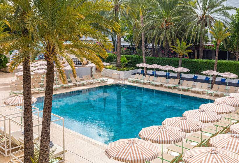 Fotos del hotel Sol House The Studio - Calviá Beach:  4