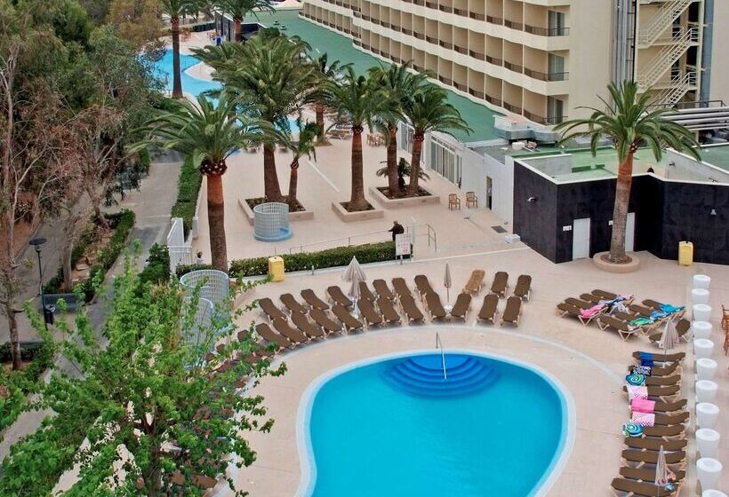 Fotos del hotel Sol Palmanova - All Inclusive:  77