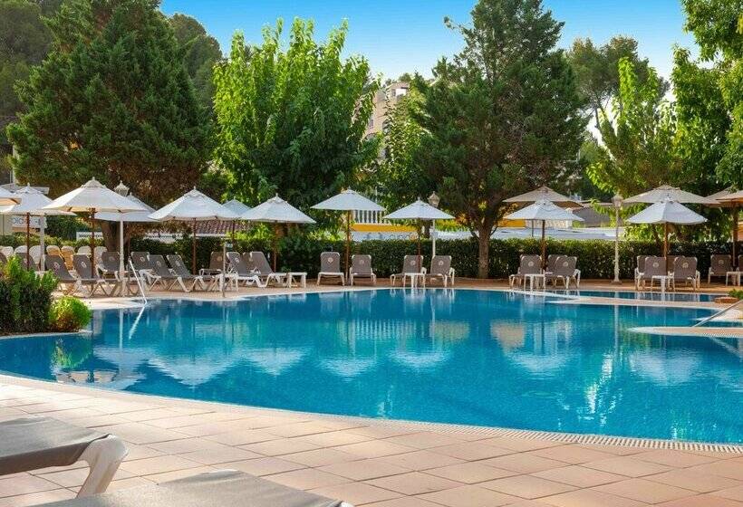Fotos del hotel Valentin Reina Paguera  Adults Only:  43