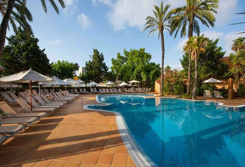 Fotos del hotel Valentin Reina Paguera  Adults Only:  58