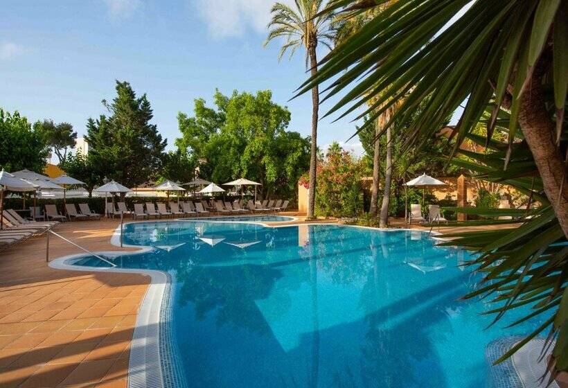 Fotos del hotel Valentin Reina Paguera  Adults Only:  49