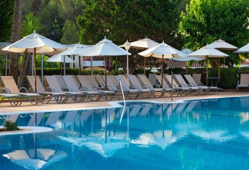 Fotos del hotel Valentin Reina Paguera  Adults Only:  55