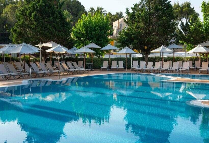 Fotos del hotel Valentin Reina Paguera  Adults Only:  80