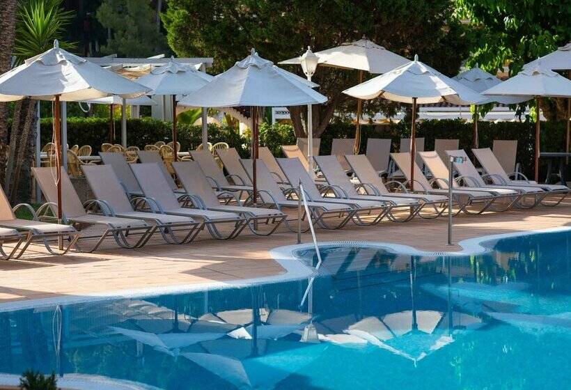 Fotos del hotel Valentin Reina Paguera  Adults Only:  70