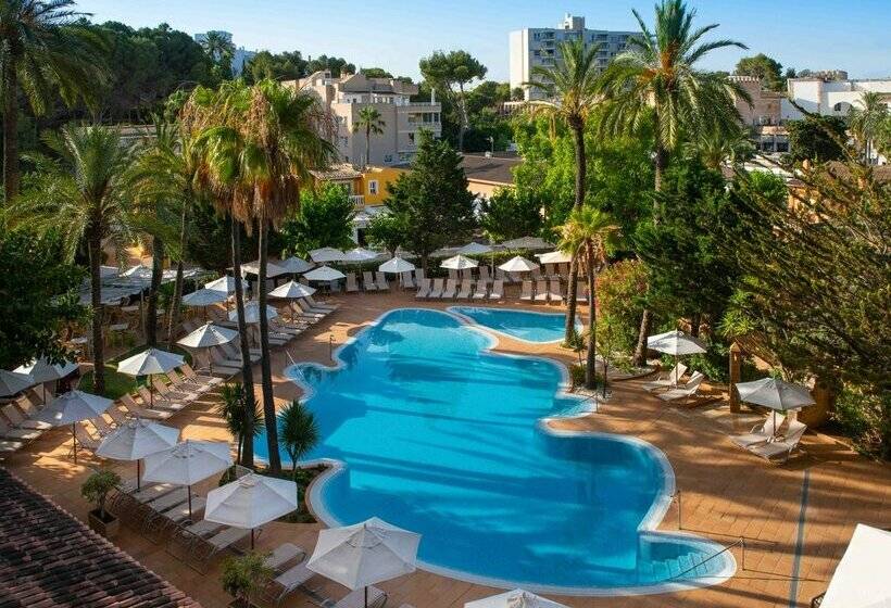 Fotos del hotel Valentin Reina Paguera  Adults Only:  52