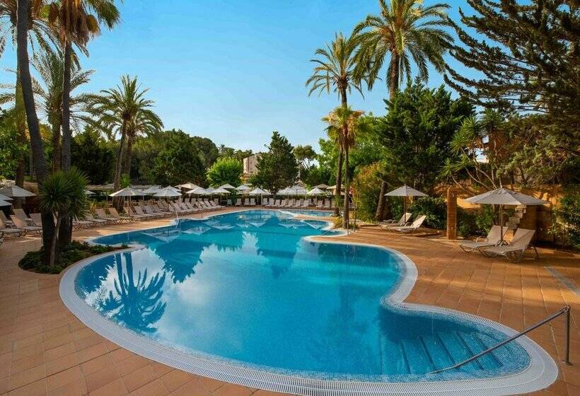 Fotos del hotel Valentin Reina Paguera  Adults Only:  44