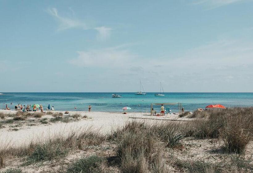 هتل Xaloc Playa