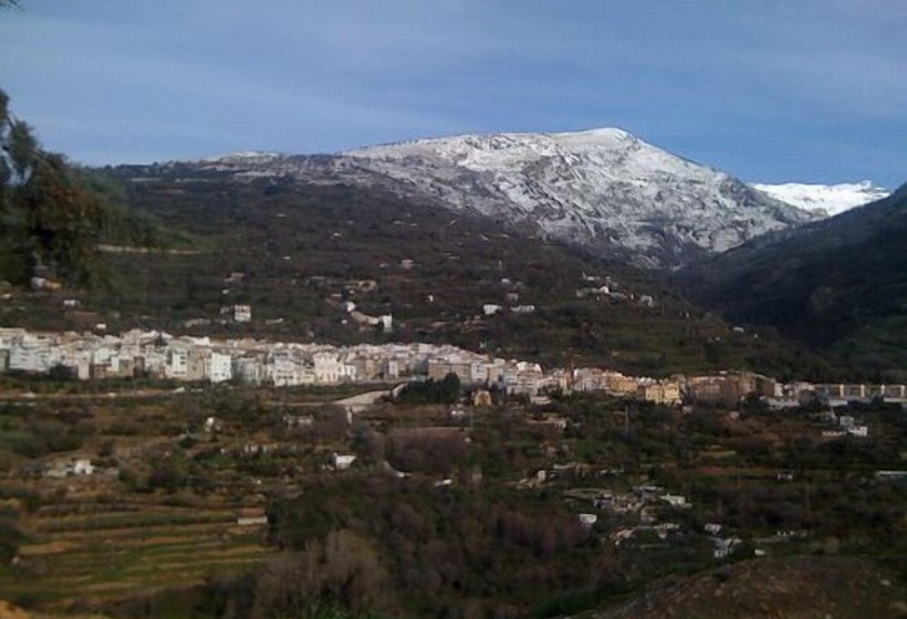 Отель Hostal Manolete