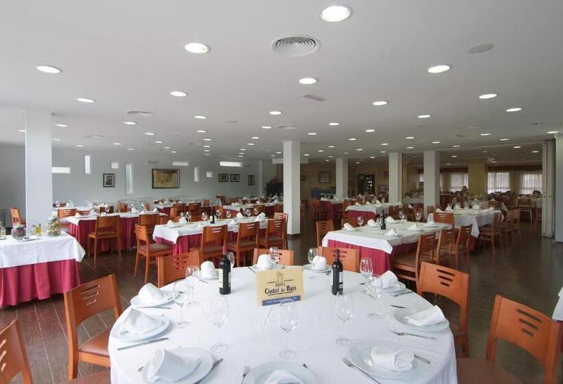 Fotos del hotel Ciudad De Haro:  14