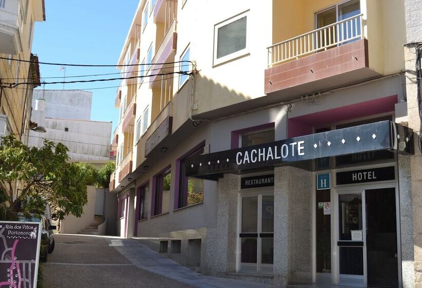 Hotel Nuevo Cachalote