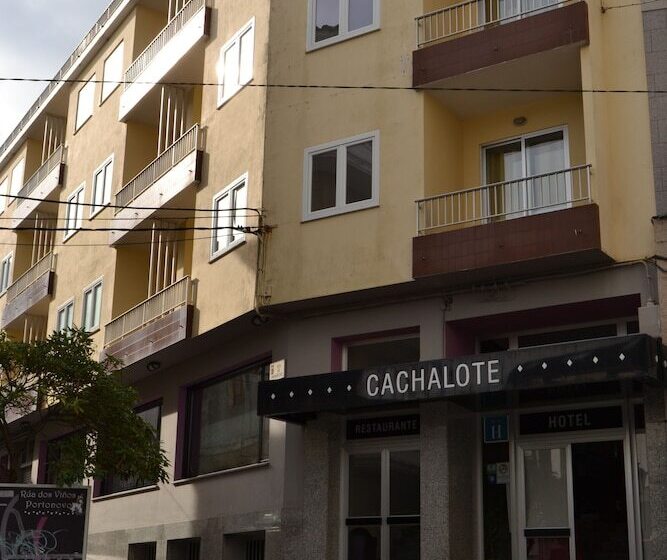 Hotel Nuevo Cachalote