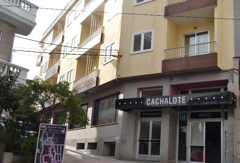 هتل Nuevo Cachalote