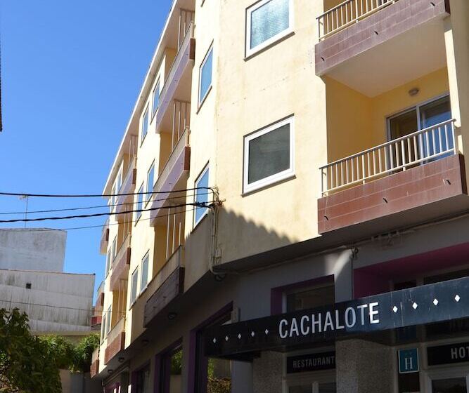 Hotel Nuevo Cachalote