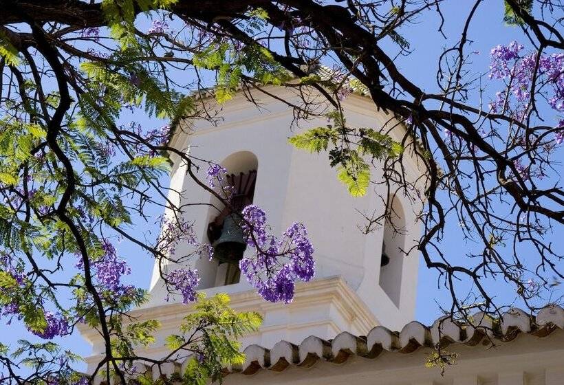 Fotos del hotel Plaza Cavana:  22