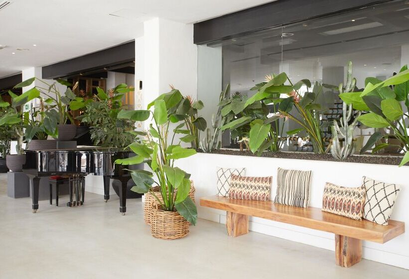 Fotos del hotel Dreams Jardin Tropical Resort & Spa:  8