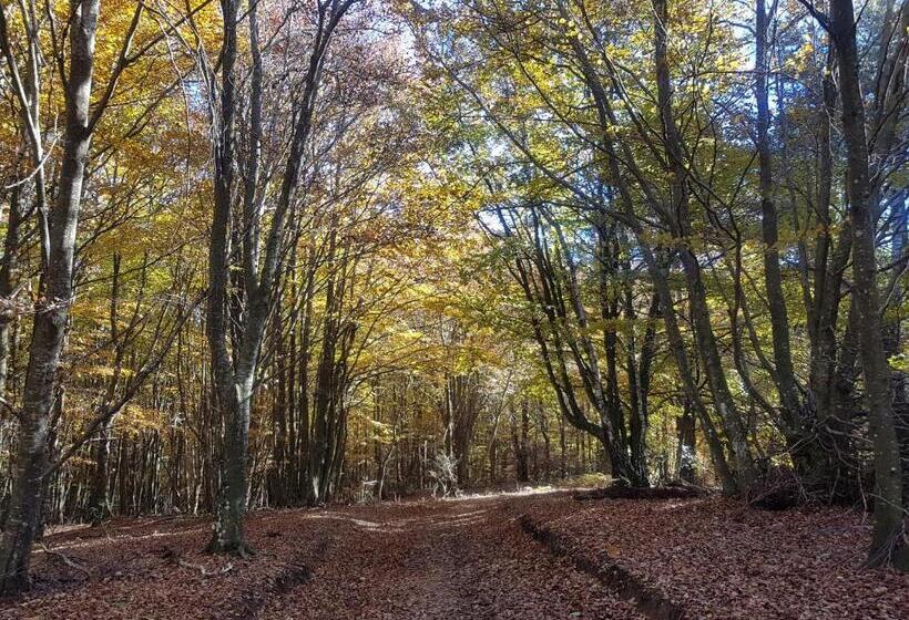 هتل Santuari De La Salut De Sant Feliu De Pallerols