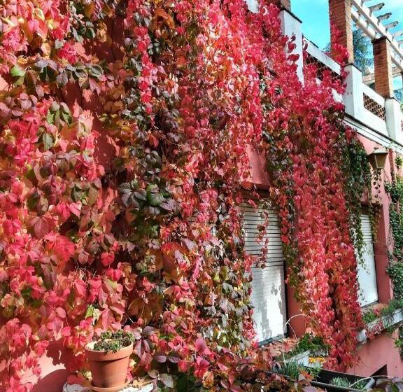 هتل Hostal Montsoliu