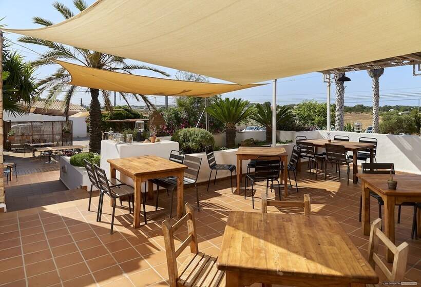 هتل Hostal Illes Pitiüses