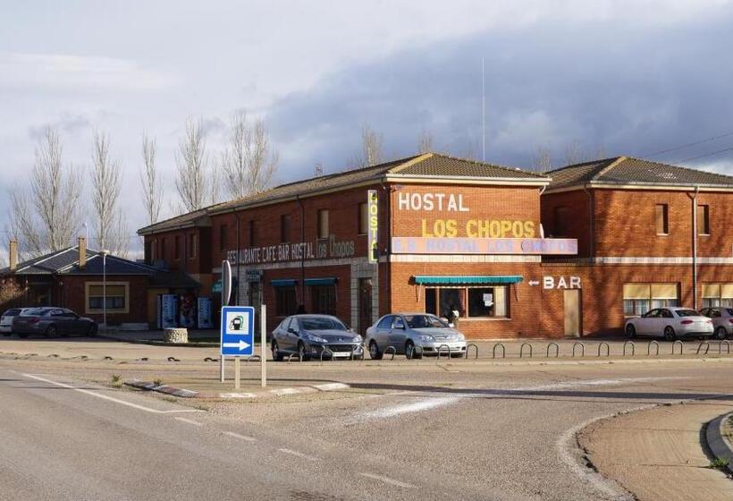 هتل Hostal Los Chopos