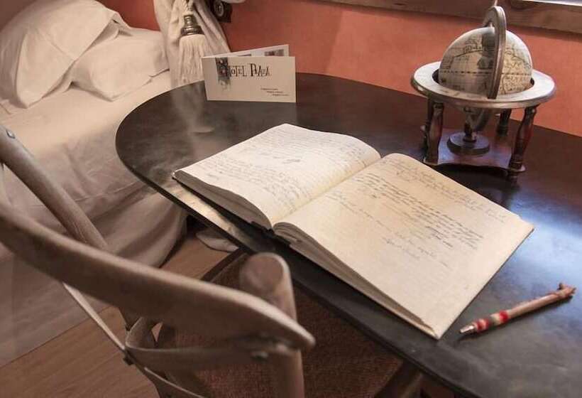 בית מלון כפרי Plaza