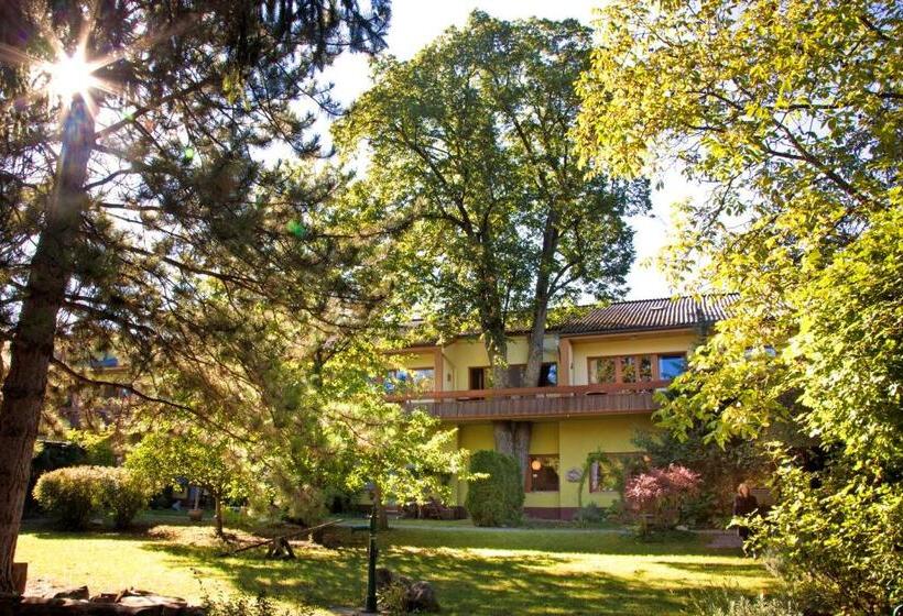 Appartementhaus Witzmann