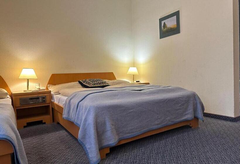 Fotos del hotel Am Schottenpoint:  5