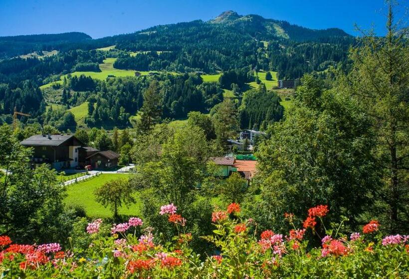 هتل Carinthia