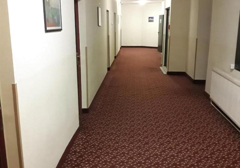 Fotos del hotel City Tabor:  30