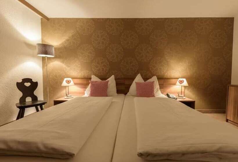 Fotos del hotel Arthotel Ana Enzian:  6