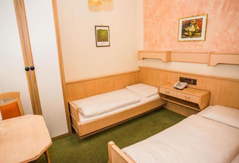 Fotos del hotel Hadrigan:  14