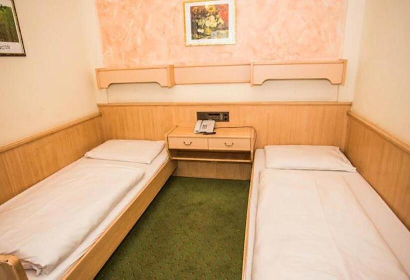 Fotos del hotel Hadrigan:  5