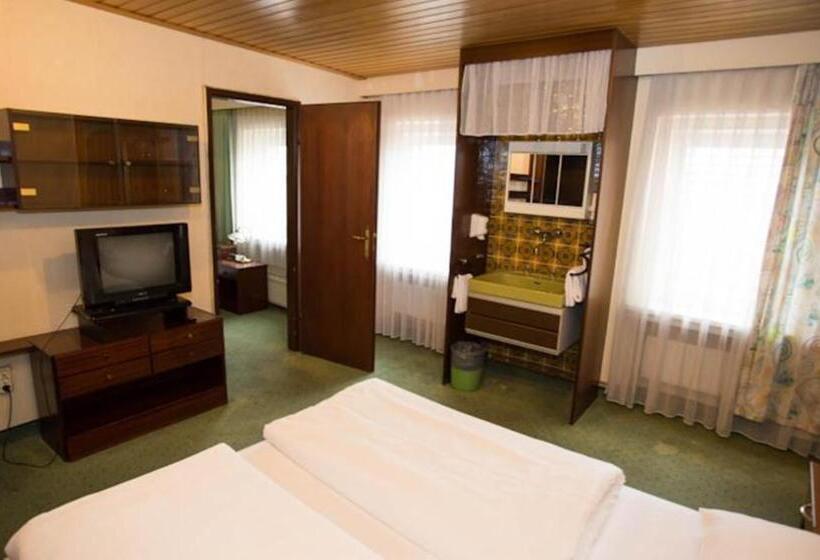 Fotos del hotel Hadrigan:  9